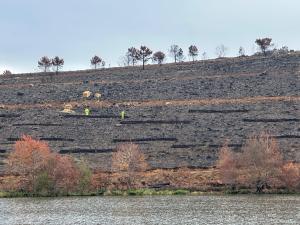 La CHD avanza en los trabajos de restauración hidrológico-forestal en la provincia de Zamora